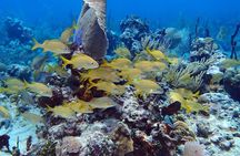 Catalina Island Snorkel Excursion from Punta Cana