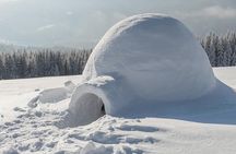 Northern Lights Trip with an Overnight Stay in a Snow Igloo
