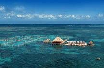 Reef Explorer Half Day Trip
