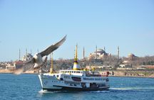 A Great day in Istanbul-Private tour with Museum Tickets covered