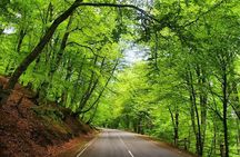 Fully Private Full-Day Guided Wine Tour of the Kakheti Region