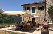 Discover DOP Olive Oil