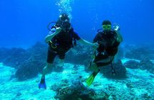Coral Island Half-day Tour