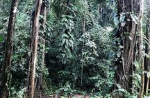  Hunter Trails, 3 days difficult trekking with Camping & Homestay