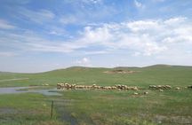 Huhhot 4D3N Inner Mongolia Grassland and desert nature tours