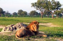 5 Day Victoria Falls and Hwange National Park Accommodated Safari Tour