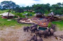 5 Day Victoria Falls and Hwange National Park Accommodated Safari Tour