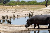5 Day Victoria Falls and Hwange National Park Accommodated Safari Tour