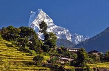 Dhampus trek