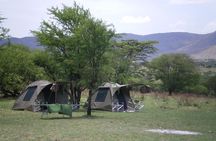 2 days budget safari (Tarangire)
