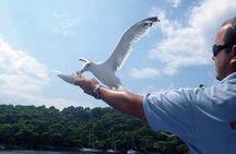 Dubrovnik Elafiti Islands Cruise with Lunch, Drinks and Pickup