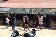 Stone Town Walking Tour