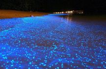 Luminous Lagoon Night-Time Tour from Montego Bay