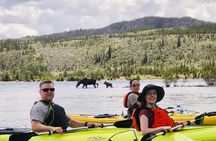 Island Kayak Tour Experience in Frisco