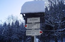 Winter Edition Bohemian and Saxon Switzerland Tour from Dresden