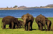 13-Day Sri Lanka Wildlife Adventure by Aaliya Tours