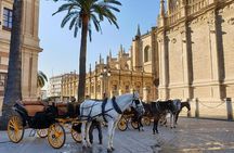 Sevilla Food Tour: Tapas, Wine, History & Traditions