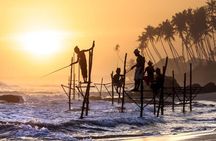 Galle Day Trip With Stilt fishing Experience From Colombo