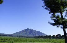 One Day Mt Bisoke Hike Adventure in Volcanoes Park ( 2 Pax Min)