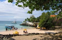Tobago Buccoo Reef Glass Bottom Boat Tour