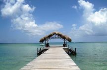 Tobago Buccoo Reef Glass Bottom Boat Tour