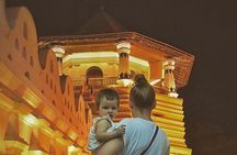 Private Kandy Day Tour from Colombo