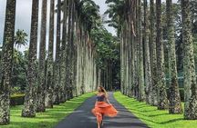 Private Kandy Day Tour from Colombo