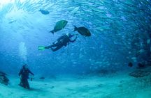 Cabo San Lucas PADI Open Water Certified Diver Course