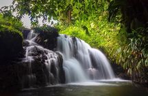 Adventures in the Jungle, Caverns, Waterfalls and Natural Pools | 3Days/2Nights