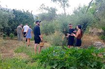 Naxos:Half-day cooking class at Basiliko 