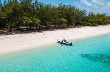 Bluefinn242 Swim with the Turtles in Nassau Bahamas 