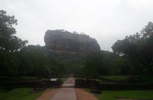Private Minneriya National Park Jeep Safari And Sigiriya Tour