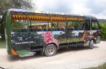 Private YS Falls Tour from Montego Bay