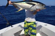 Half day Deep sea/light tackle fishing charters 