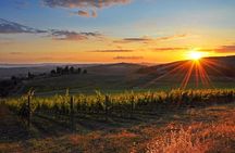 Chianti Half-day Wine Tour in the Tuscan's Hills from Pisa