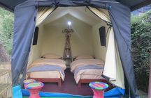 Luxury Tent Stay in Kakani Adventure Camp 