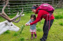 Autumn Delight - Visit to husky, reindeer and Santa Claus in Rovaniemi