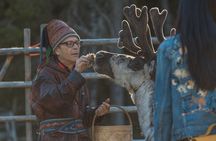 Autumn Delight - Visit to husky, reindeer and Santa Claus in Rovaniemi