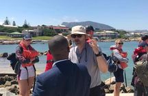 Whale Watching in Hermanus 