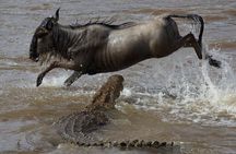3 Days adventurous Maasai Mara Budget Group Safari