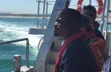 Whale Watching in Hermanus 