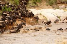 3 Days adventurous Maasai Mara Budget Group Safari