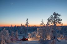Evening Escape - Snowmobile safari and campfire in Rovaniemi