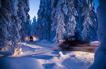 Evening Escape - Snowmobile safari and campfire in Rovaniemi
