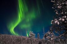 Aurora Ice Floating in Rovaniemi