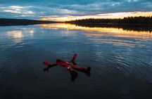 Aurora Floating in Rovaniemi