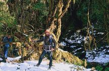 Madri Himal Trek