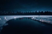 Aurora Ice Floating in Rovaniemi