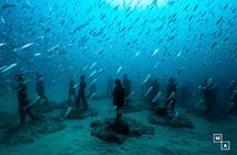 Discover the underwater world of Lanzarote
