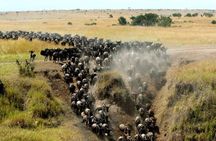 Overnight Maasai Mara Private Safari From Nairobi
